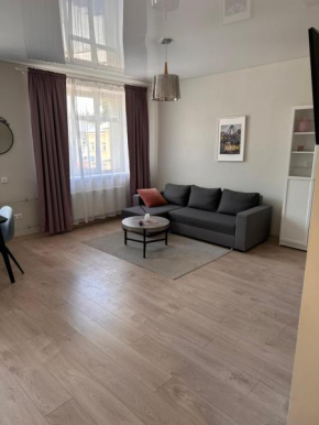 Studio flat Centrinis Butukas